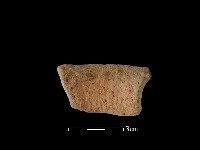 陶罐藏品圖，第2張