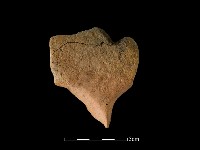 連杯形器藏品圖，第1張