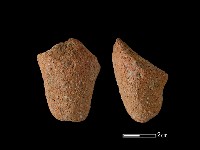 鼎足藏品圖，第1張