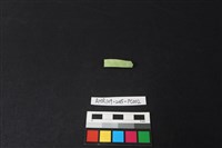 瓷片藏品圖，第1張