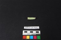 瓷片藏品圖，第2張