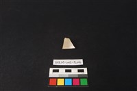 瓷片藏品圖，第2張