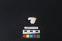 瓷片藏品圖，第1張