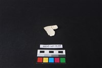 瓷片藏品圖，第2張