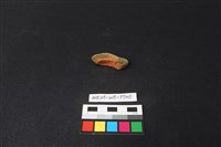 陶片藏品圖，第1張