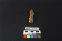 陶片藏品圖，第2張