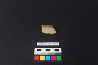 陶片藏品圖，第1張