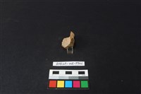 陶片藏品圖，第3張