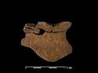 陶罐藏品圖，第2張