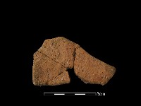 陶片藏品圖，第2張