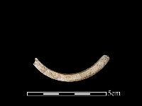 玉環藏品圖，第1張