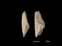 帶加工痕玉材藏品圖，第1張