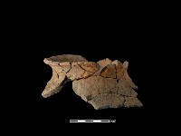 陶罐藏品圖，第2張