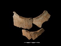 陶罐藏品圖，第1張