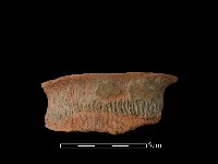 陶罐藏品圖，第1張