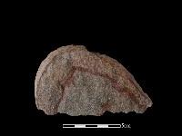 石片藏品圖，第2張