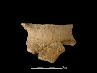 陶罐藏品圖，第1張