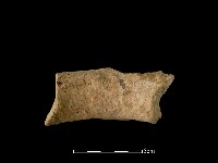 陶罐藏品圖，第2張