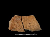 陶片藏品圖，第1張