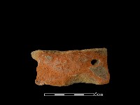 陶片藏品圖，第2張