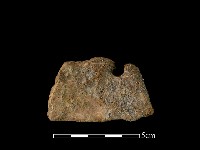 陶片藏品圖，第2張