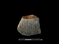 陶片藏品圖，第1張