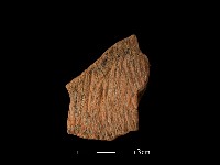 陶片藏品圖，第1張