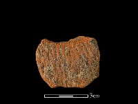 陶片藏品圖，第1張