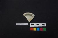 瓷片藏品圖，第4張