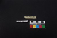 瓷片藏品圖，第2張