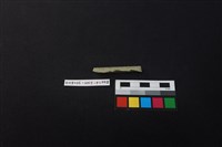 瓷片藏品圖，第3張