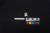 瓷片藏品圖，第2張