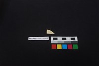 瓷片藏品圖，第2張