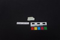 瓷片藏品圖，第2張