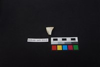 瓷片藏品圖，第2張