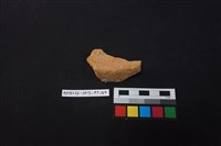 陶片藏品圖，第2張