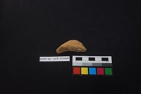 陶片藏品圖，第1張