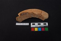 陶片藏品圖，第2張