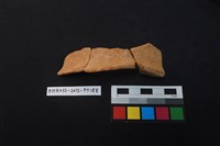 陶片藏品圖，第2張