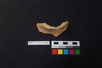 陶片藏品圖，第1張