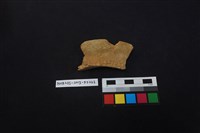 陶片藏品圖，第1張