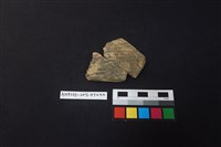 陶片藏品圖，第1張