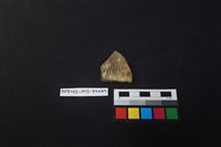 陶片藏品圖，第1張