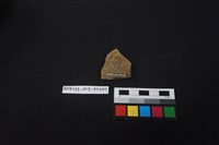 陶片藏品圖，第2張