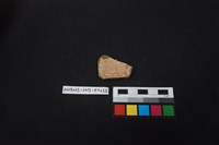 陶片藏品圖，第2張