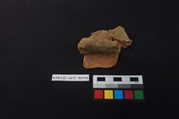 陶片藏品圖，第1張