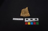 陶片藏品圖，第2張