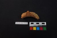 陶片藏品圖，第2張