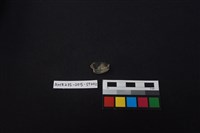 燧石藏品圖，第2張