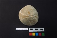 石鎚藏品圖，第3張